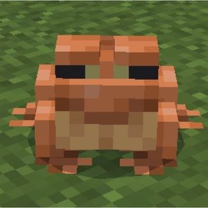 Meet your Posher, Camila